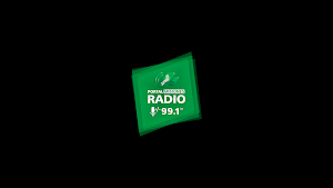 Portal Misiones Radio 99.1 Screenshot 3