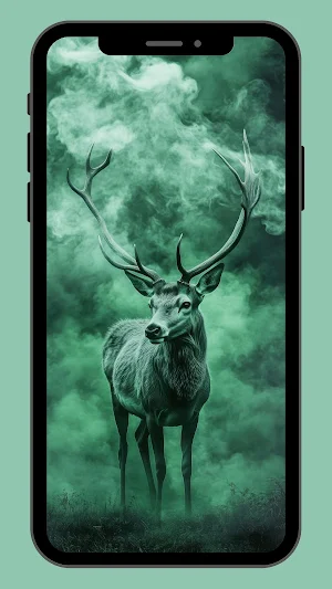 WallPx - 4K Mobile Wallpapers Screenshot 2