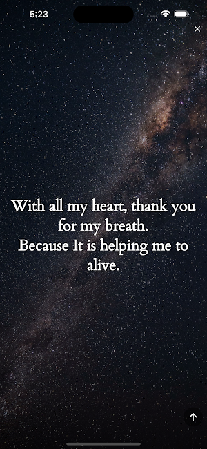 Vision Board Gratitude Journal Screenshot 2