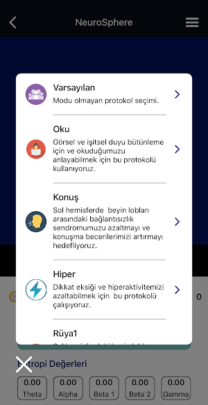 NeuroSphere Screenshot 2