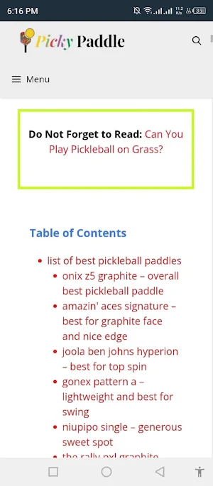 Picky Paddle Screenshot 2