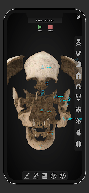 Virtual Medical Anatomy Screenshot 0