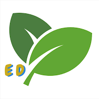 Enerji Diyeti