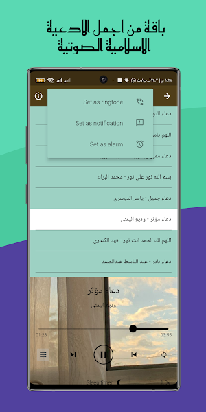 القران محمود الشحات انور بدونت Screenshot 0