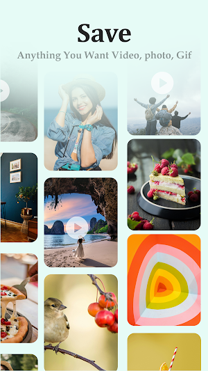 Video Downloader for Pinterest Screenshot 3