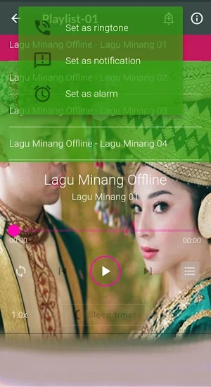 Lagu Minang Melayu Offline Screenshot 3