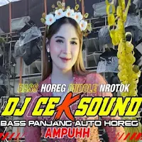 DJ CEK SOUND TAHUN 2025 OFFLIN