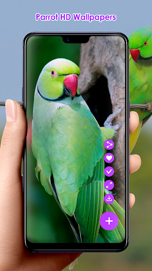 Parrot HD Wallpapers Screenshot 2