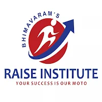 RAISE INSTITUTE