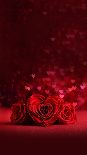 Romantic Flowers Images Screenshot 0