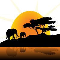 Animal Planet HD