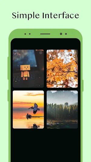 Lettuce Browser Screenshot 3