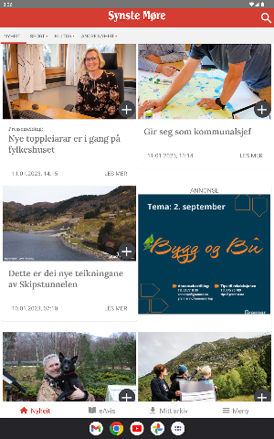 Synste Møre Screenshot 2