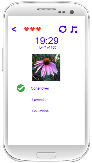 Florizz - Flower Fast Quiz Screenshot 3