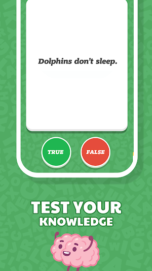 True or False Quiz app - Is That True? Screenshot 1