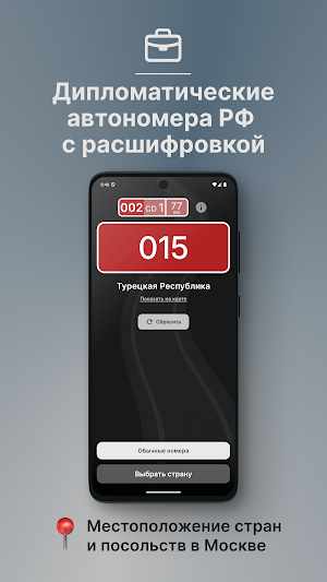 RegAuto - Коды регионов Screenshot 2