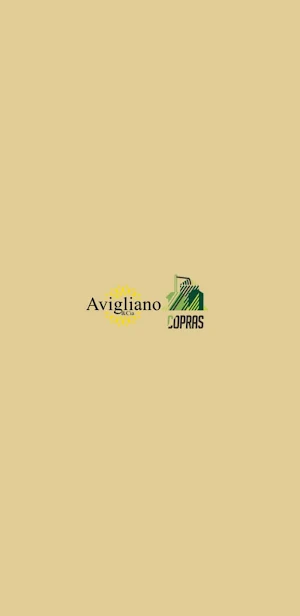 Avigliano y CIA SRL Screenshot 0