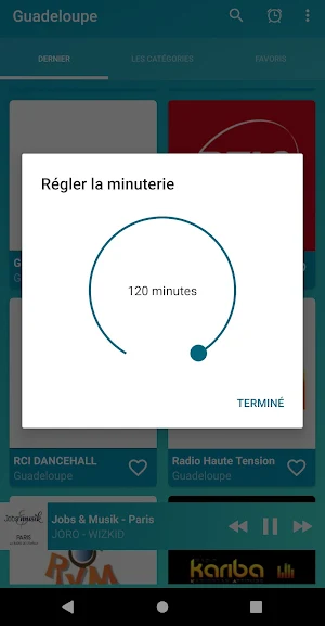 Guadeloupe radios online Screenshot 0