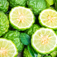Bergamot Wallpapers