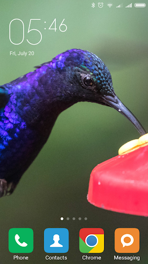 Hummingbird Wallpapers Screenshot 1