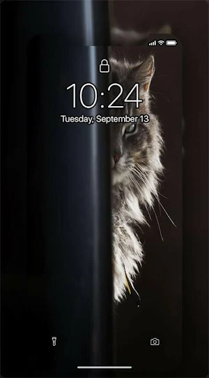 MIAW WALLPAPERS CATS Screenshot 2