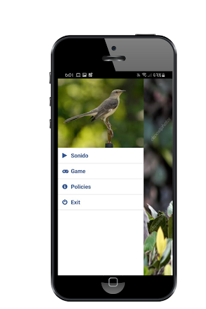 Cenzontle Singing Sound Screenshot 1