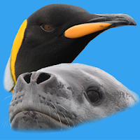 Antarctic Wildlife Guide