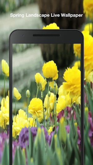 Spring Landscapes Wallpaper Screenshot 3
