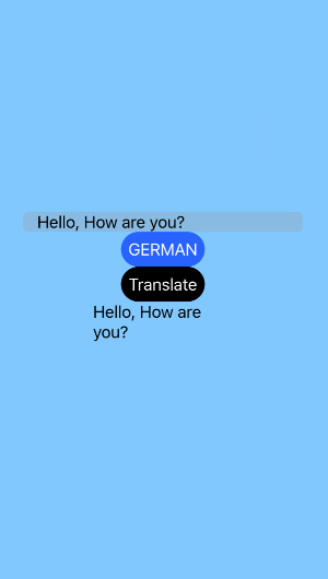 Translator Application Screenshot 3