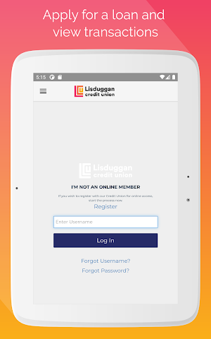 Lisduggan Credit Union Screenshot 3