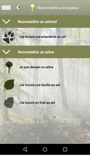Clés de forêt Screenshot 1