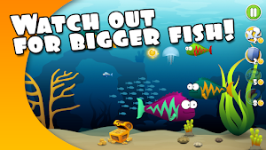 FishyFeast Screenshot 3