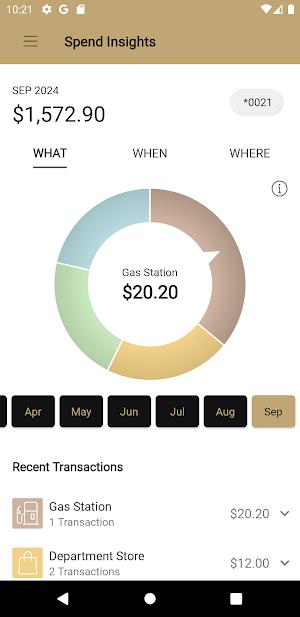 SBA-Credit Card Screenshot 2