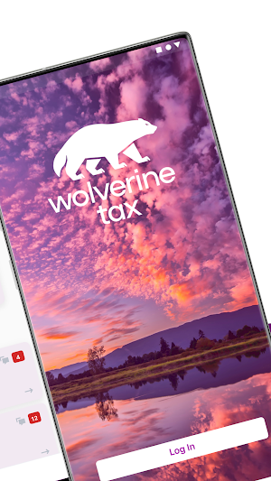 Wolverine Tax Screenshot 1