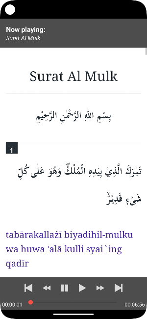 Yasin Waqiah Mulk Audio Screenshot 3