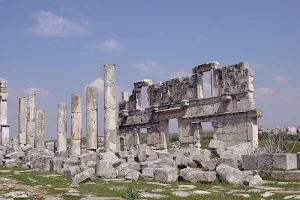 Syria wallpapers Screenshot 2