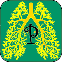 Pranayama Yoga Pro