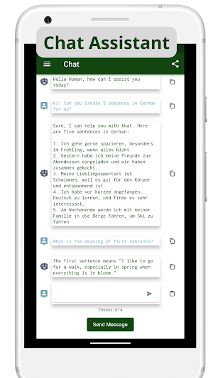 My OpenAI Chat GPT Interface Screenshot 0