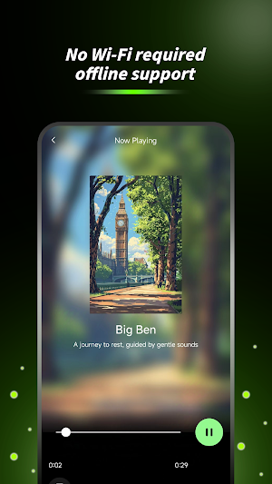 Offline Music Player Screenshot 2