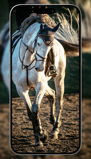 Horse wallpaper HD Screenshot 0