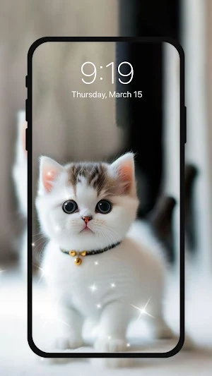 Cute Kitten Live Wallpapers HD Screenshot 3