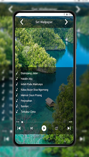 Lagu dangdut mp3 Screenshot 2