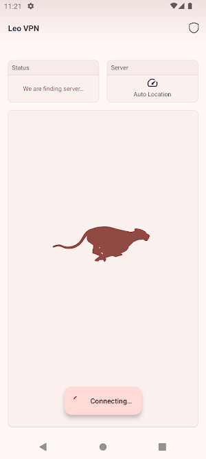 Leo VPN Screenshot 2