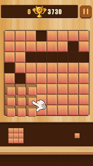 Wood Block Puzzle - New Wooden Block Puzzle Game Screenshot 0