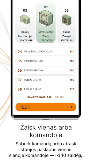 Ryšio 100-metis Screenshot 3