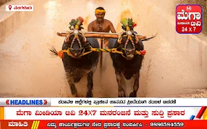 Mega Media TV Screenshot 3