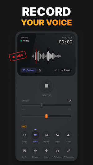 Reverse Audio: Voice Effects Screenshot 0