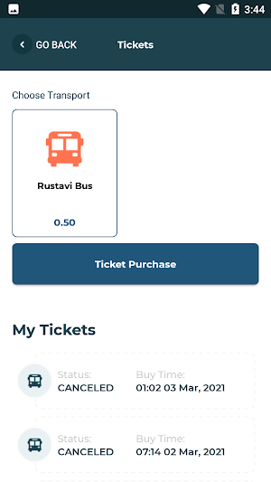 Rustavi Transport Screenshot 3