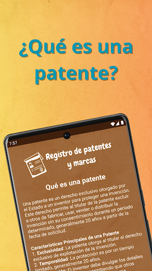 Registro de Patentes y Marcas Screenshot 2