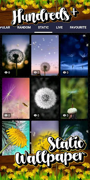 dandelion wallpaper Screenshot 3
